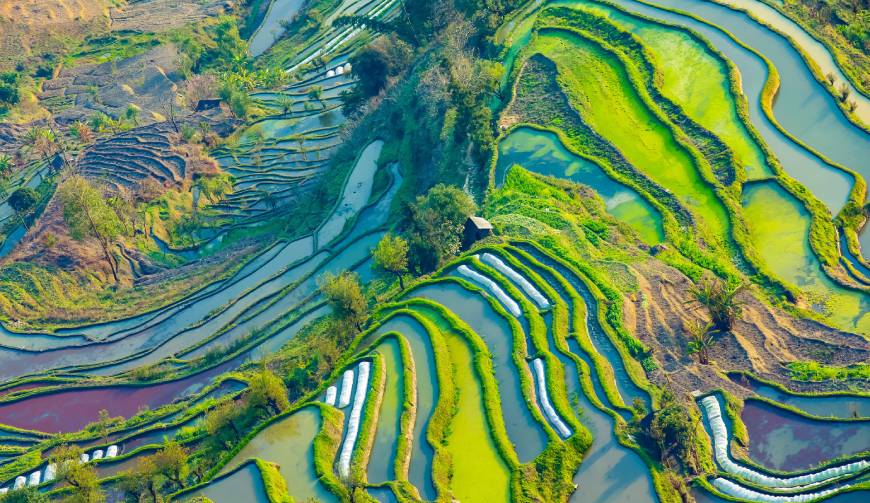 走进巴楚县TVC拍摄：解锁本地化场景与创意镜头的完美融合